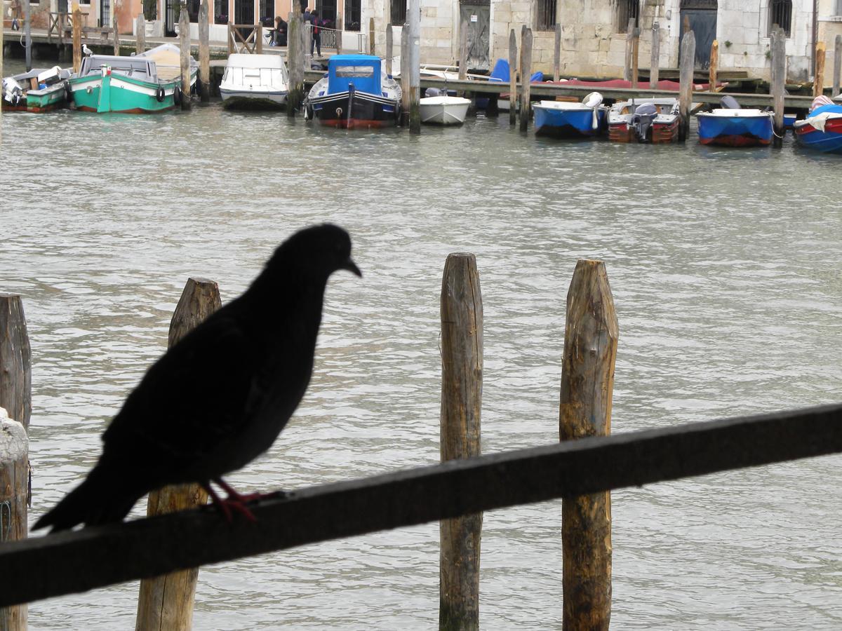 La Felice Canal Grande 威尼斯 外观 照片
